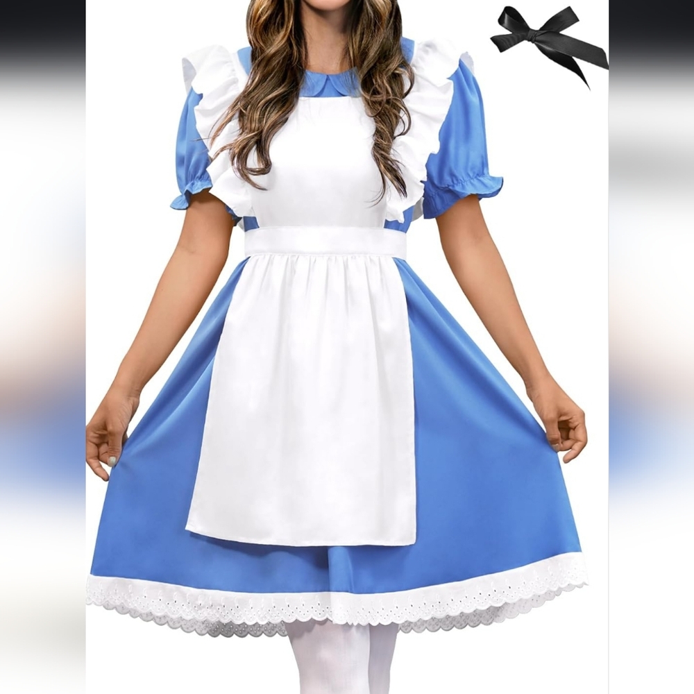 Alice in Wonderland adult costume